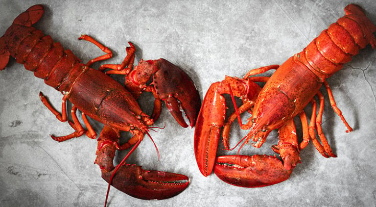 noon Minutes launches live seafood delivery in under 15 minutes