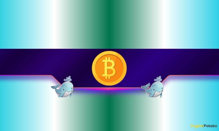 Big Moves Ahead for BTC and ETH as Whale Activity Surges?