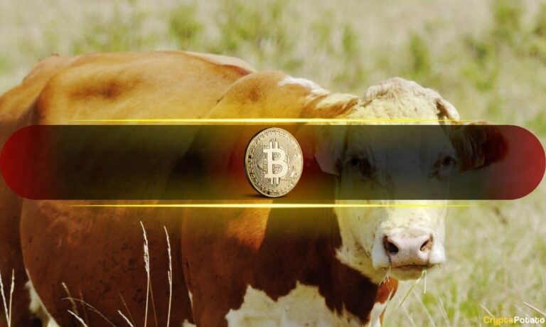 Global M2 Growth Signals Bitcoin Bull Market Intact Despite October Crash, Says VanEck
