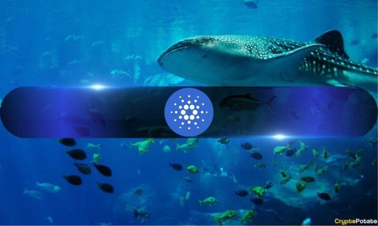 Whales Are Leaning Into Ethereum (ETH) and Cardano (ADA): Retail Is Lagging Behind