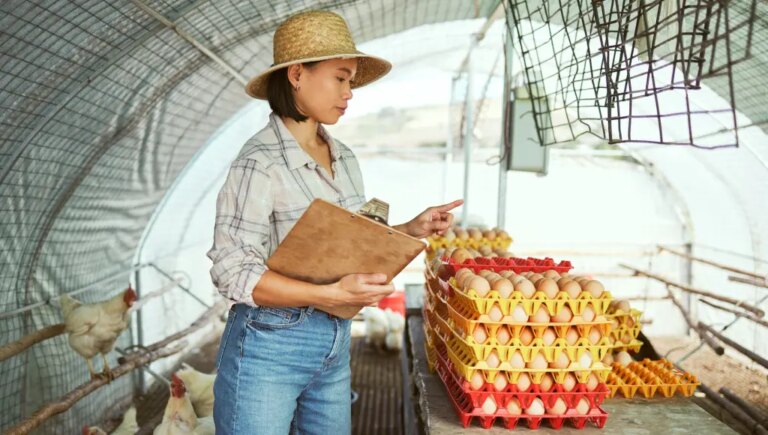 Patient capital: The slow burn on returns from the Eucalyptus sale