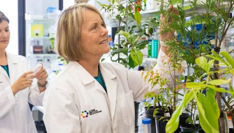 Cheque in: 3 startups announced $161 million in raises this week