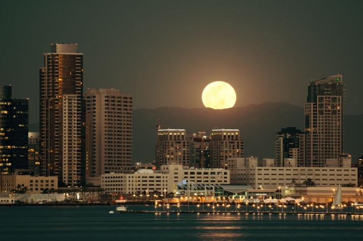 Why Investors Choose Master-Planned Real Estate In Abu Dhabi